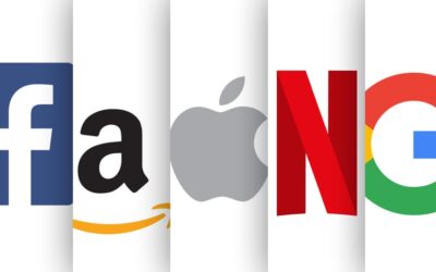 FAANGs Out: What Big Tech Wants With Your Data