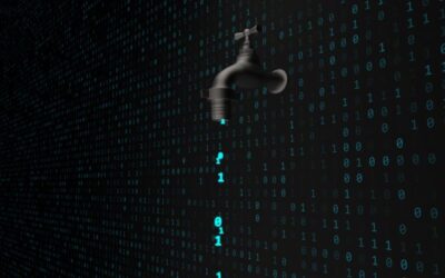 How to Protect Yourself from Data Leaks